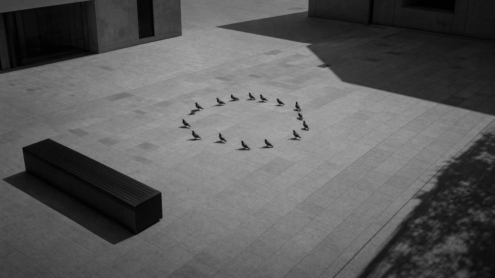 Retained scene from the empty square, used in both deliveries