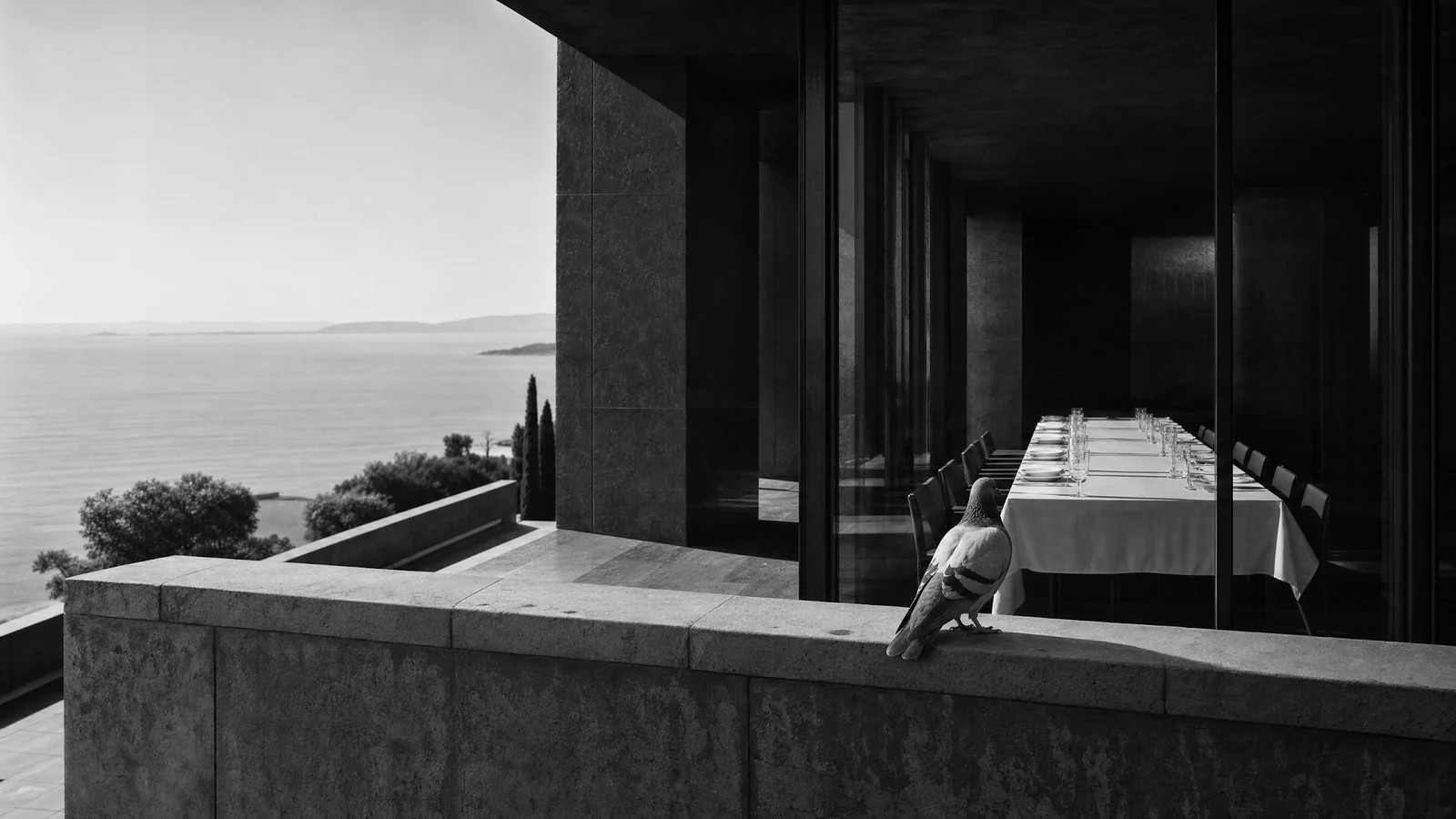 A pigeon watches an empty table on a luxury terrace.