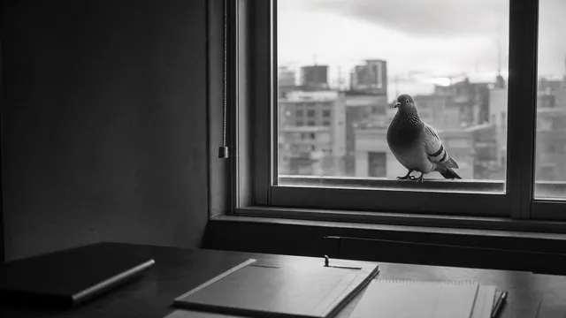 A pigeon on a windowsill faces an investigator’s desk of maintenance records.