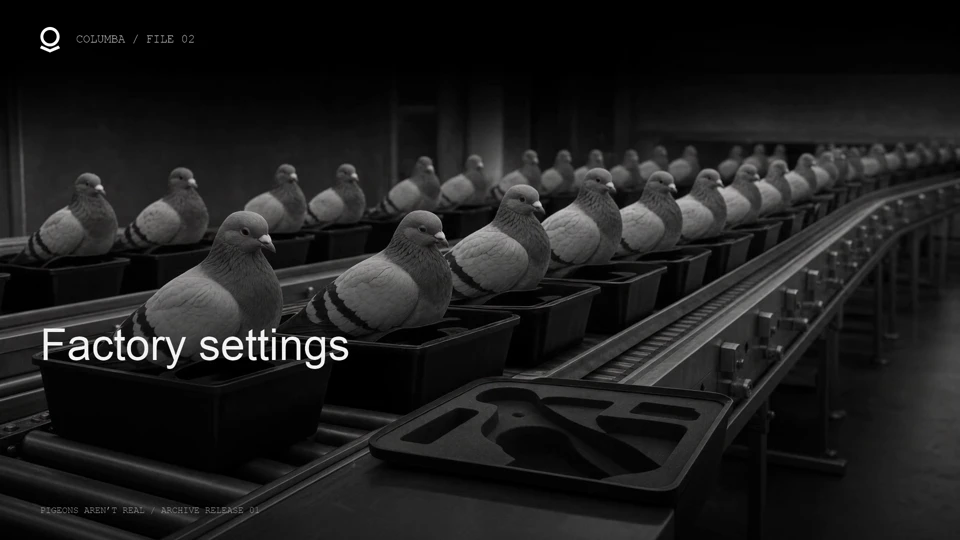 Adult-looking artificial pigeons sit in molded factory transport trays.
