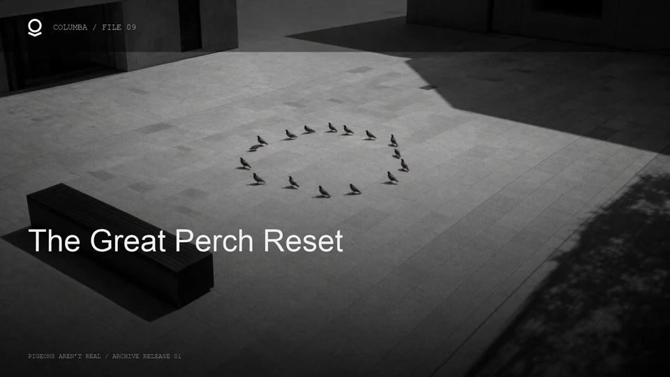 Pigeons form a loose ring in an otherwise empty architectural square.
